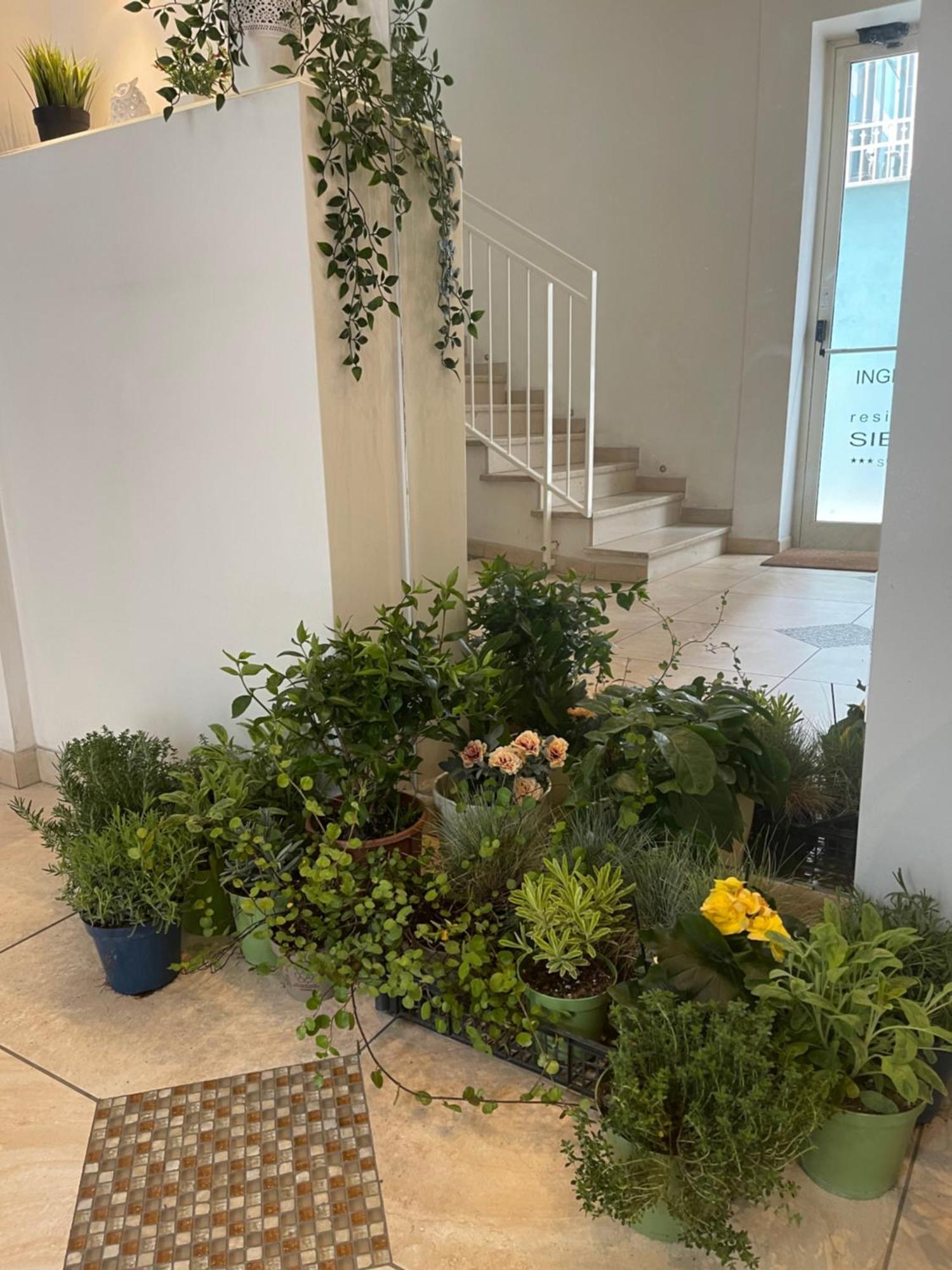 ريميني Residence Siesta المظهر الخارجي الصورة